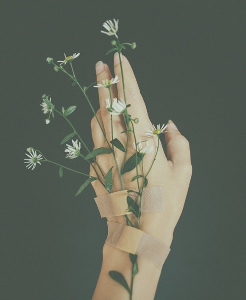 pflaster-hand-blumen